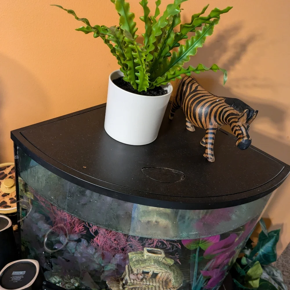 Half-Moon Tank